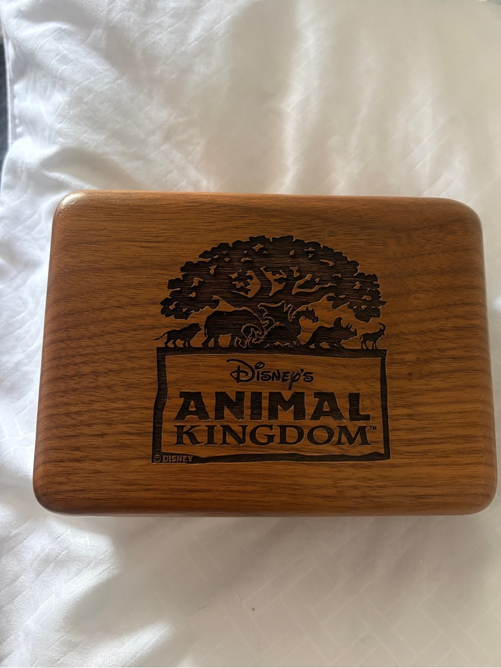 Disney  vintage Animal Kingdom Engraved Wood Keepsake Box - Brown